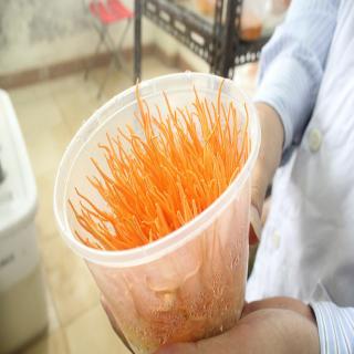 Việt Nam sản xuất được nấm đông trùng hạ thảo