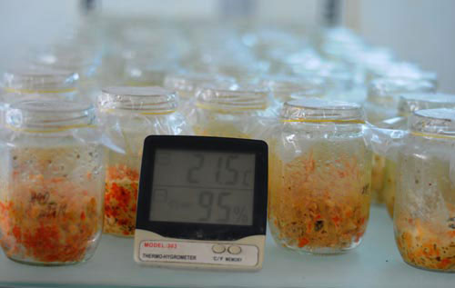  Phòng thí nghiệm luôn để nhiệt độ từ 20 – 21 độ C